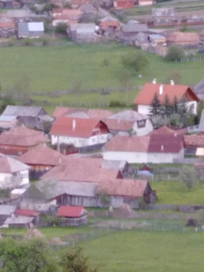 Casa Traditionala Subcetate Subcetate  المظهر الخارجي الصورة